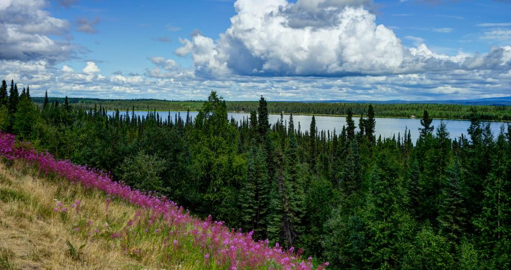22 Best Things to Do in Girdwood, AK