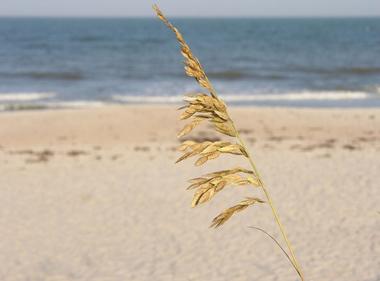 Nicholas Canyon Beach
