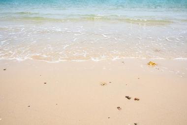 Barefoot Beach