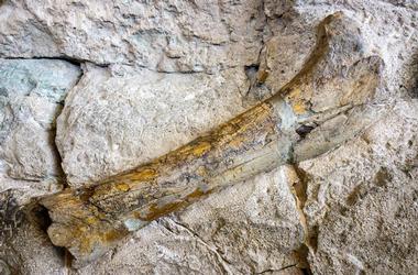 Dinosaur National Monument