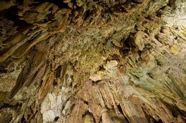 Florida Caverns State Park