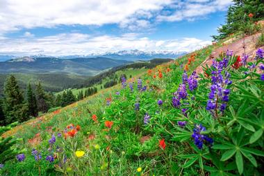Sign Up for an Adventure in Boulder, CO