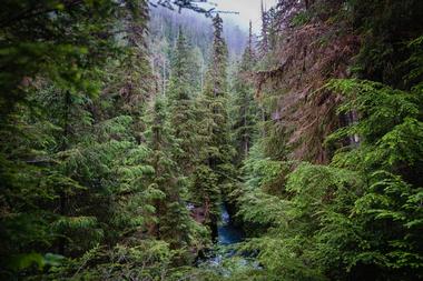 Olympic National Park