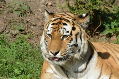 Brandywine Zoo, Wilmington, DE