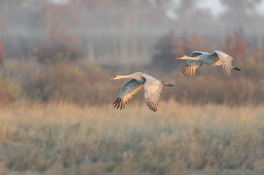 Russell W. Peterson Wildlife Refuge